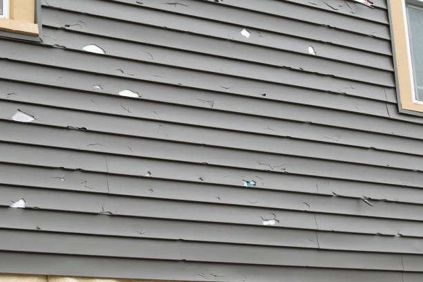 Best Construction Debris Removal  in Sunrise, FL